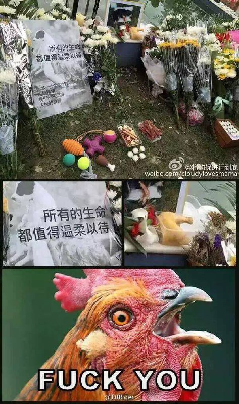 via 见坂 凛