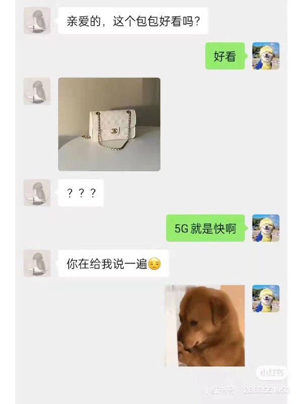 from 平壤卫视
