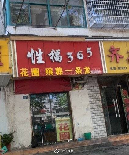 from 什么都能放