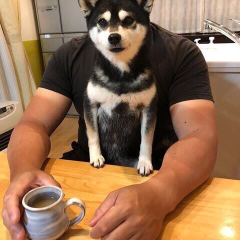 狗头人，怪