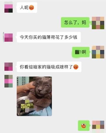 这猫…….嗯这猫…….嗯