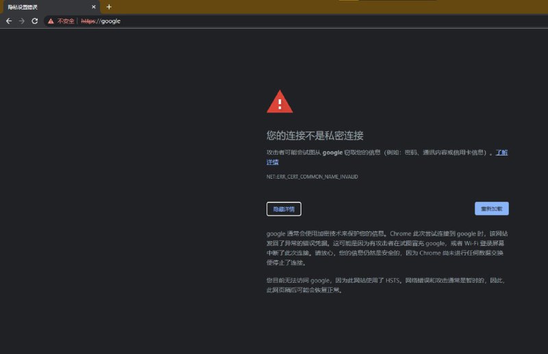 原来这也是域名 google