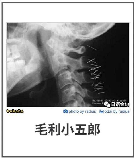 from 平壤卫视 via ㅤ