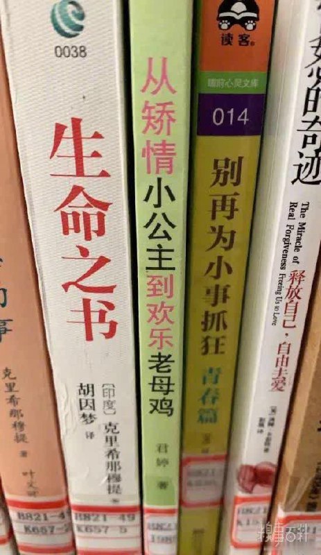 突然对中间这本书充满了好奇.