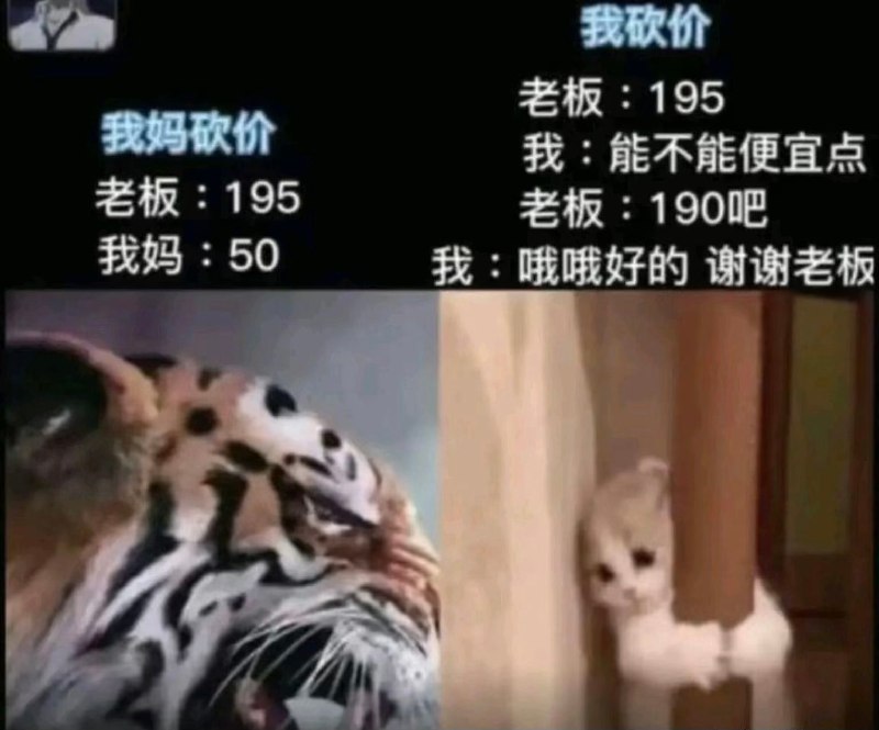 via 鸭累鸭累