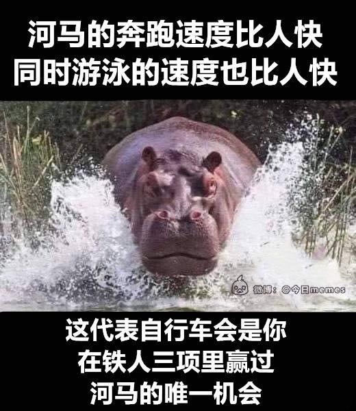 from 煎蛋无聊图