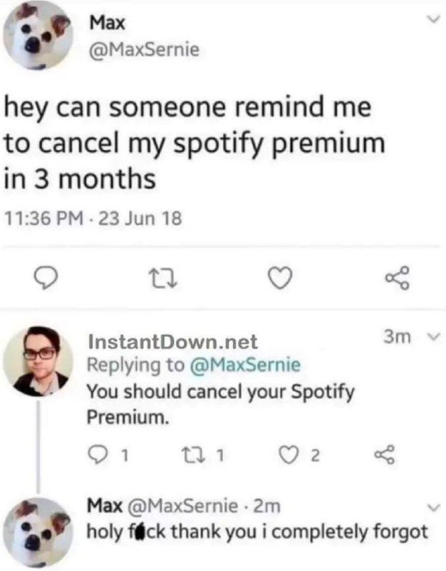 True friend