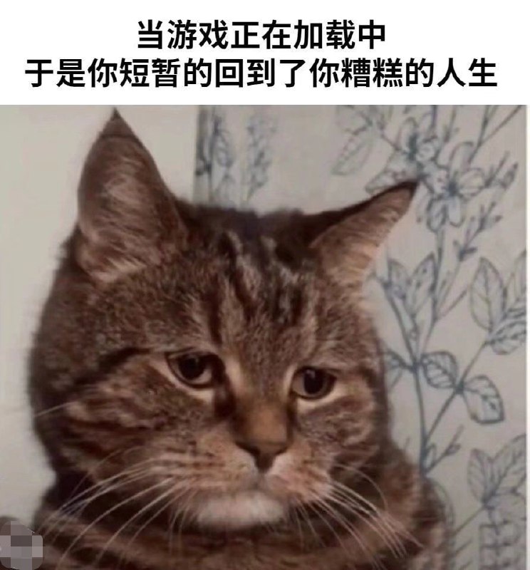 from 煎蛋无聊图