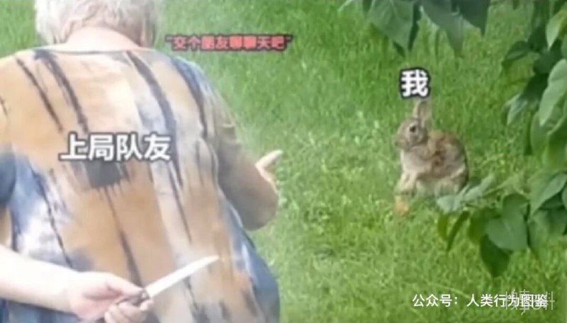 当因为游戏打得太菜而收到好友请求的我