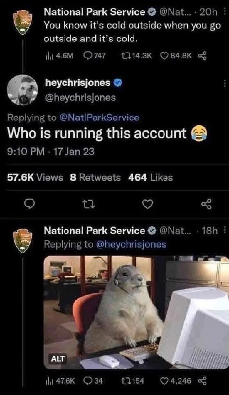 @Meme • Funniest Memesfrom Memes 🦙 Funniest Daily Memes
