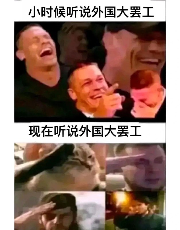 via 摆烂猫