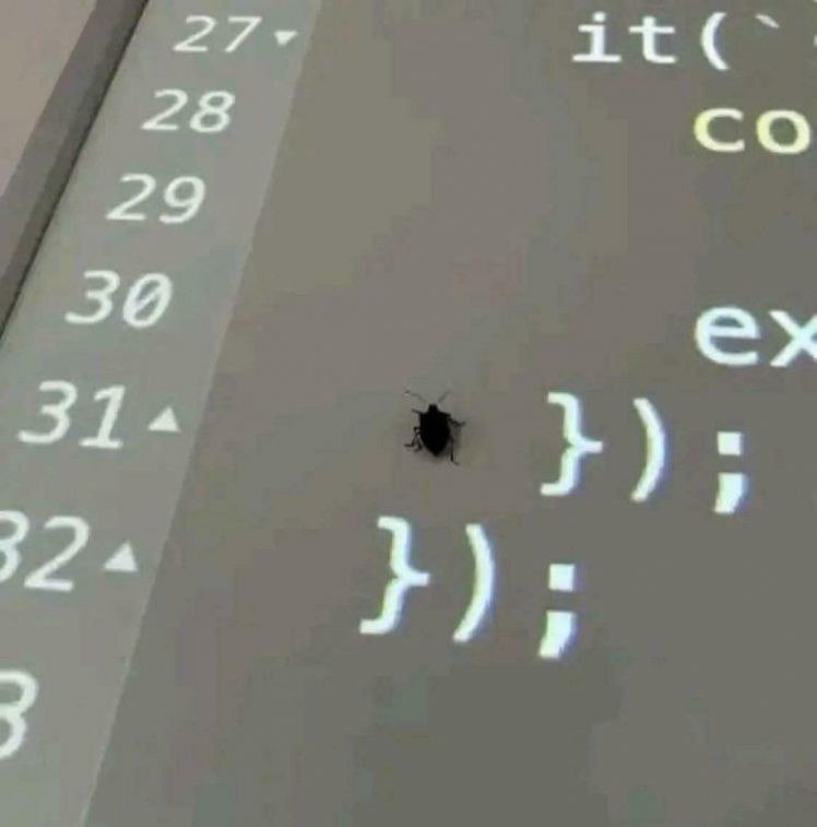 Ryan Els:Bug on line 31 🤔 