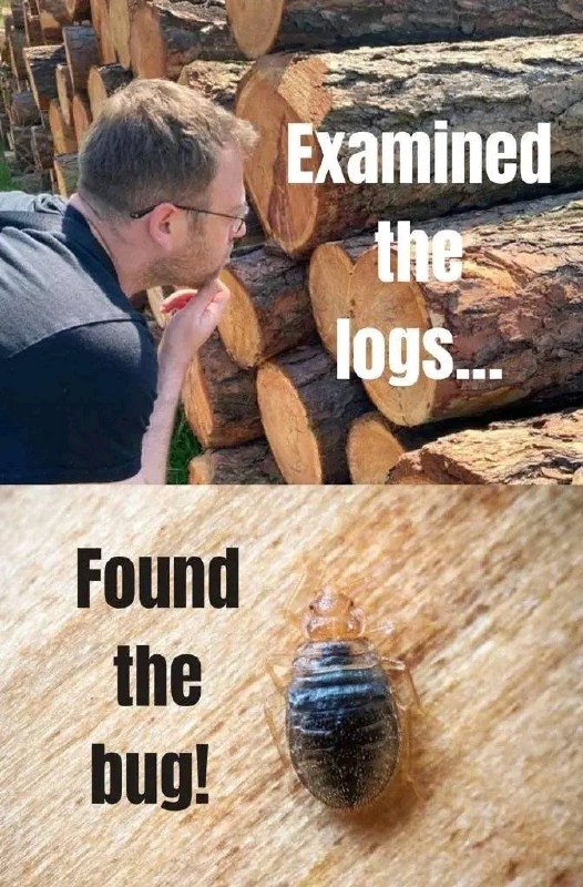 from Programmer Jokes