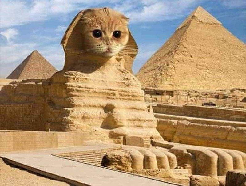 cats.exe