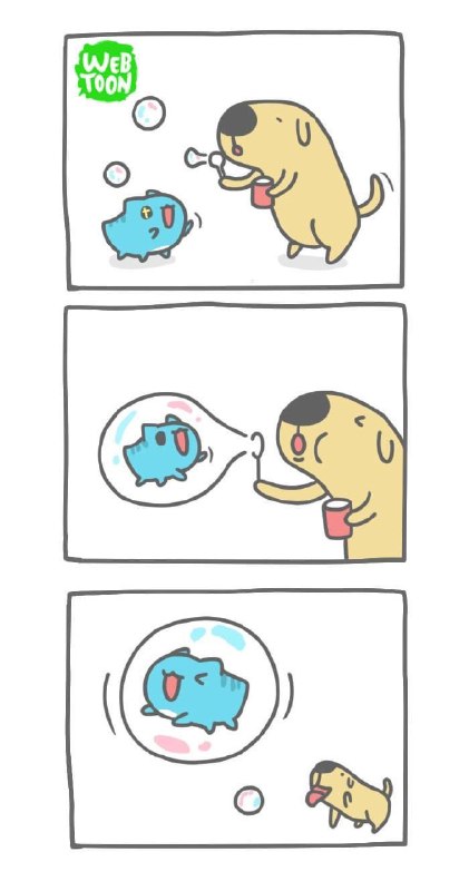 via Stephen Sii(5S2)ಠ Д ಠ