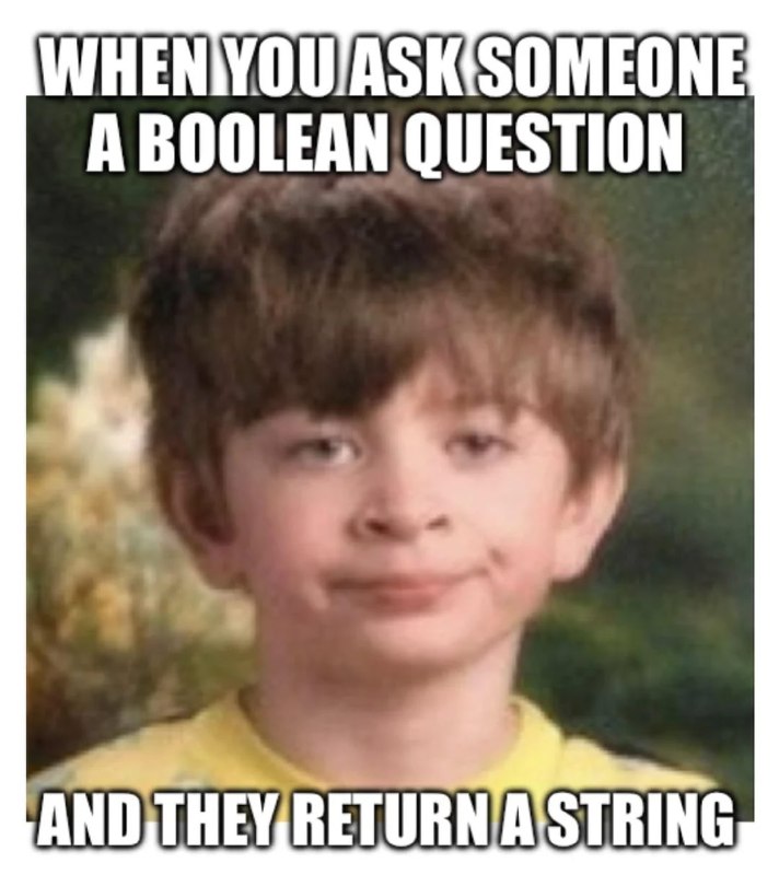 @ProgrammerHumor Boolean Questionfrom ProgrammerHumor