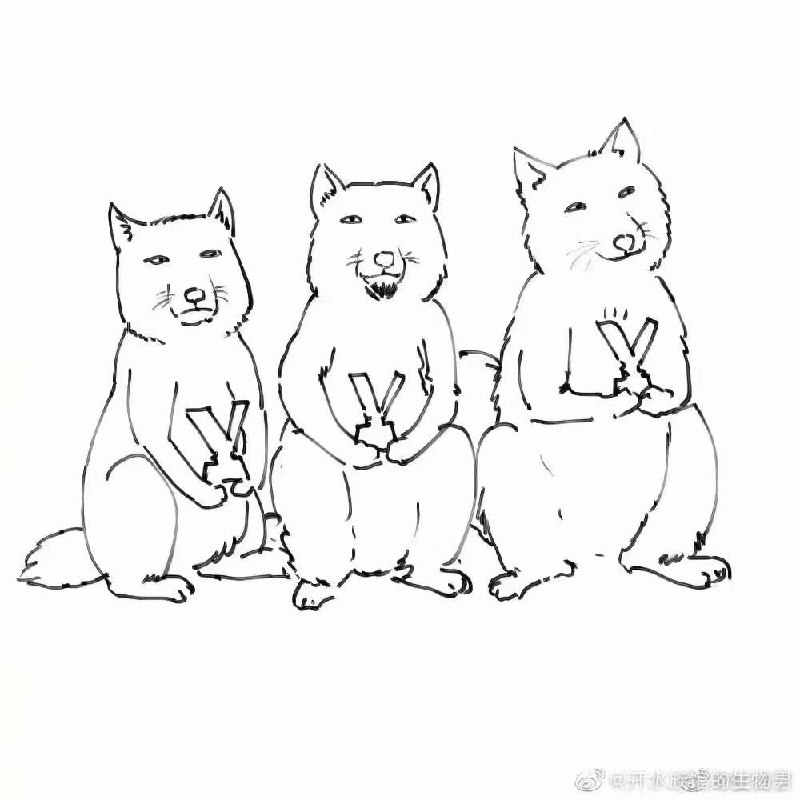 2021年6月13日，科学家首次发现藏狐出现了人传人现象