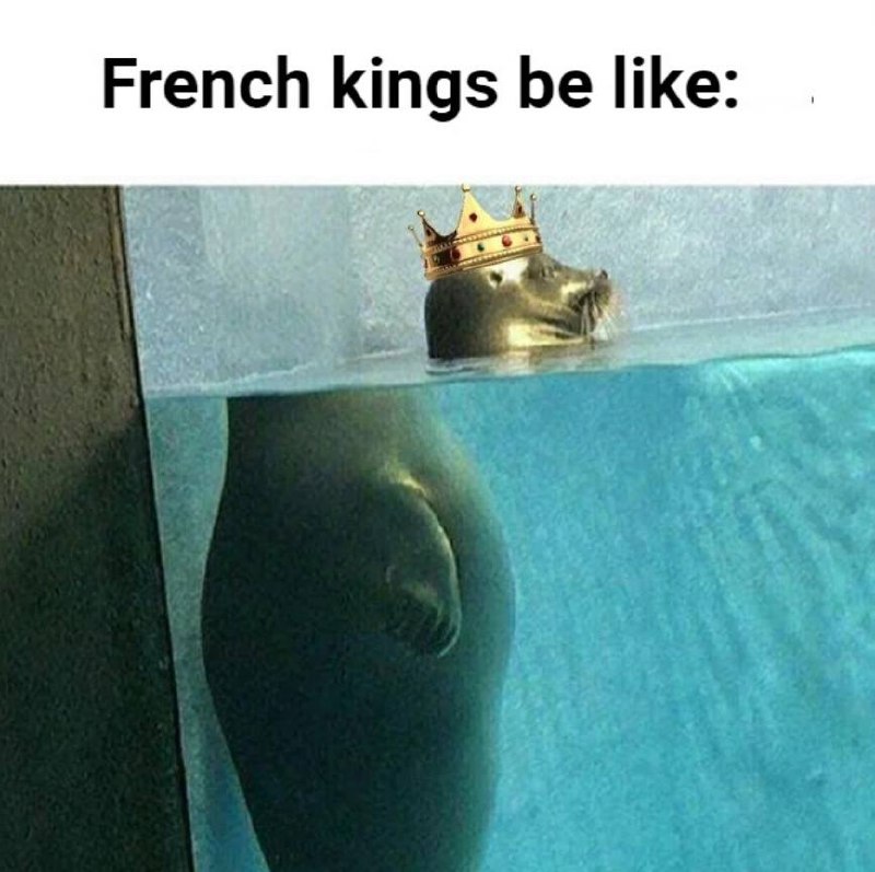 from Reddit