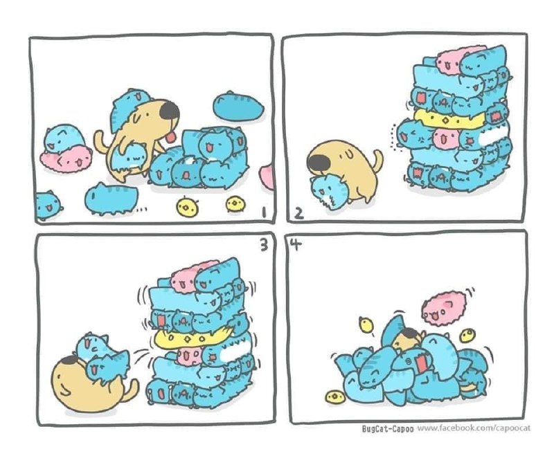 via Stephen Sii(5S2)ಠ Д ಠ