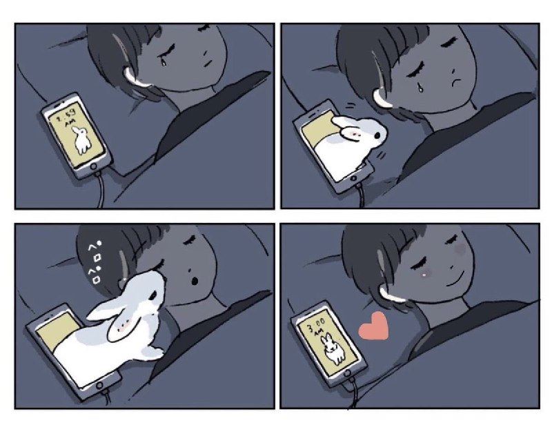 Why you should have a rabbit: