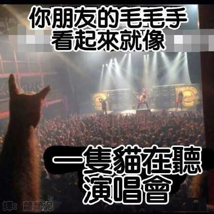 from 煎蛋无聊图