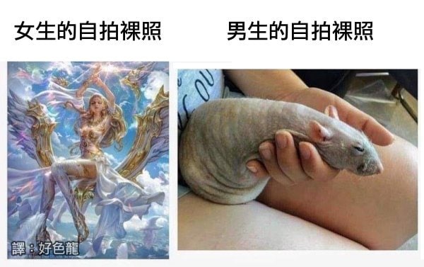 真實