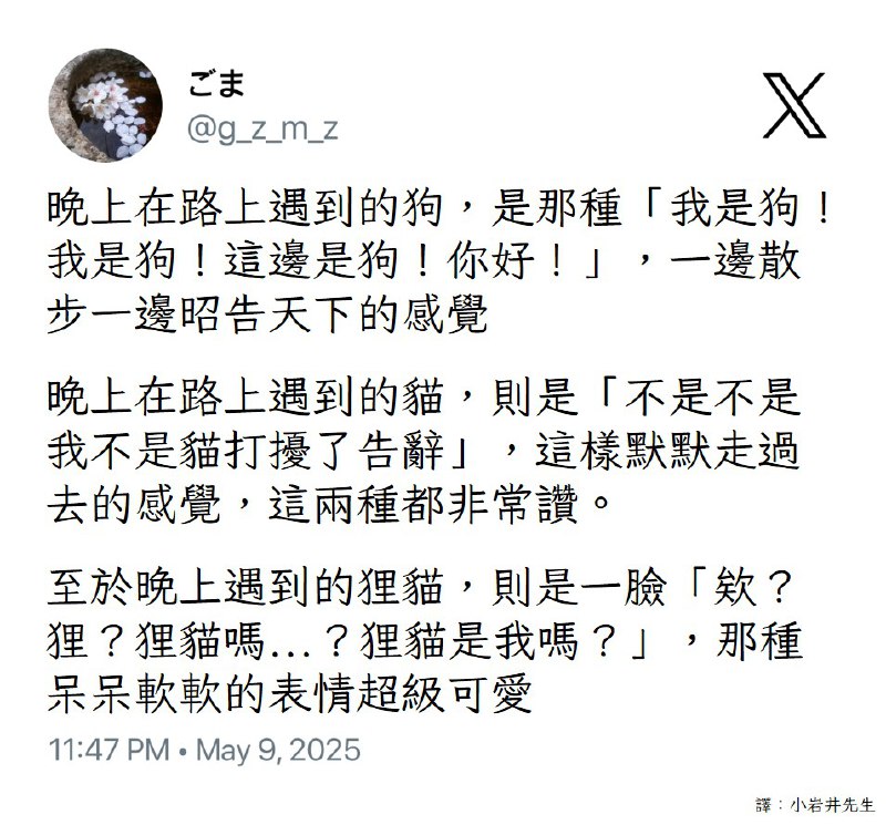 from Lizard Man 蜥蜴人 🦎from Lizard Man 蜥蜴人 🦎