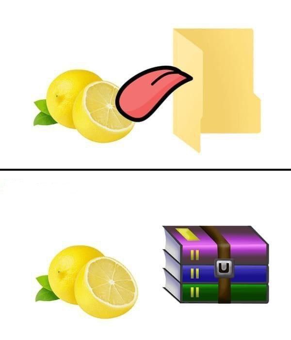 from Programmer Jokes