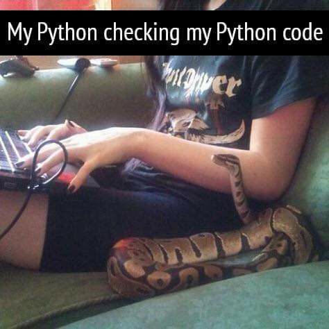 Recursion 😅from Programmer Jokes