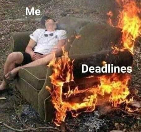 Shared by Svia @MemeFarm_bot • @Memefrom Memes 🦙 Funniest Daily Memes