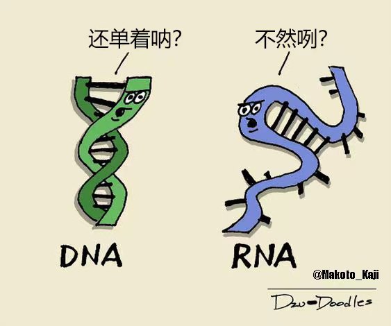 via 每天只睡23h