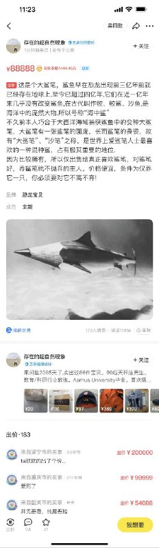 via 喵喵 猫猫via 喵喵 猫猫
