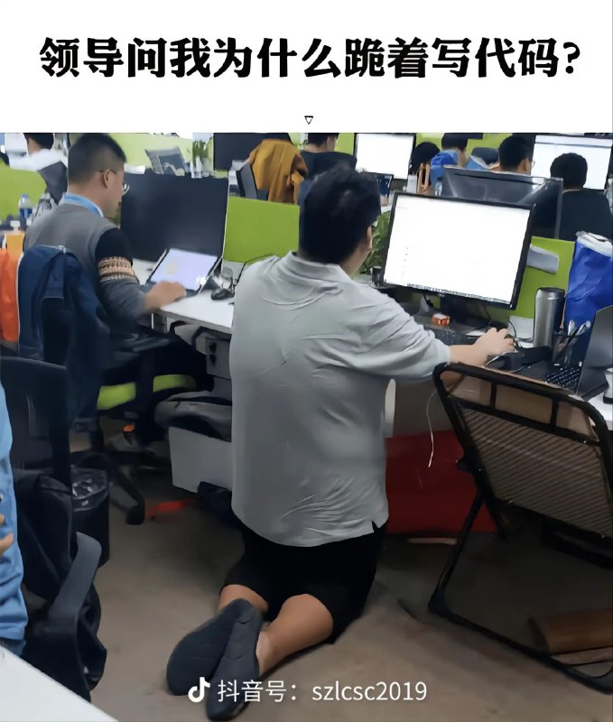 from 大图图的废话集 via 幼乌酱|躺平鸟 | 🐱 | 弱小可怜又无助from 大图图的废话集 via 幼乌酱|躺平鸟 | 🐱 | 弱小可怜又无助
