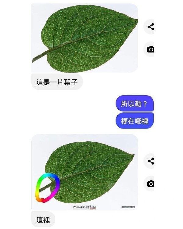 #冷笑话