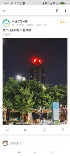 广州大蟑螂
