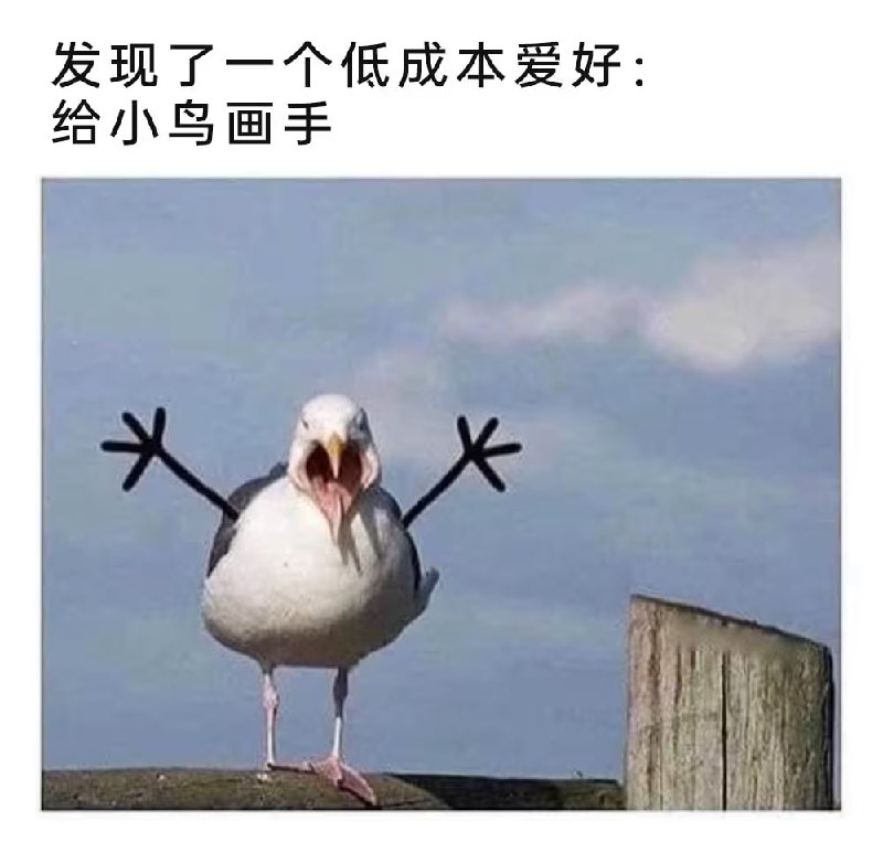 via 8号沙雕网友