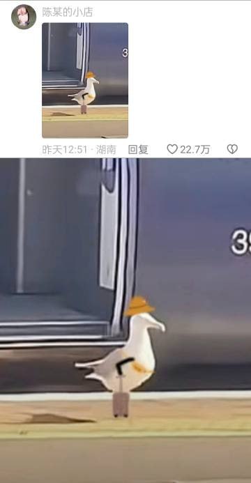 海鸥：还是高铁快啊！海鸥：还是高铁快啊！
