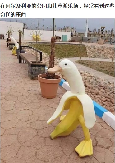 这个可以