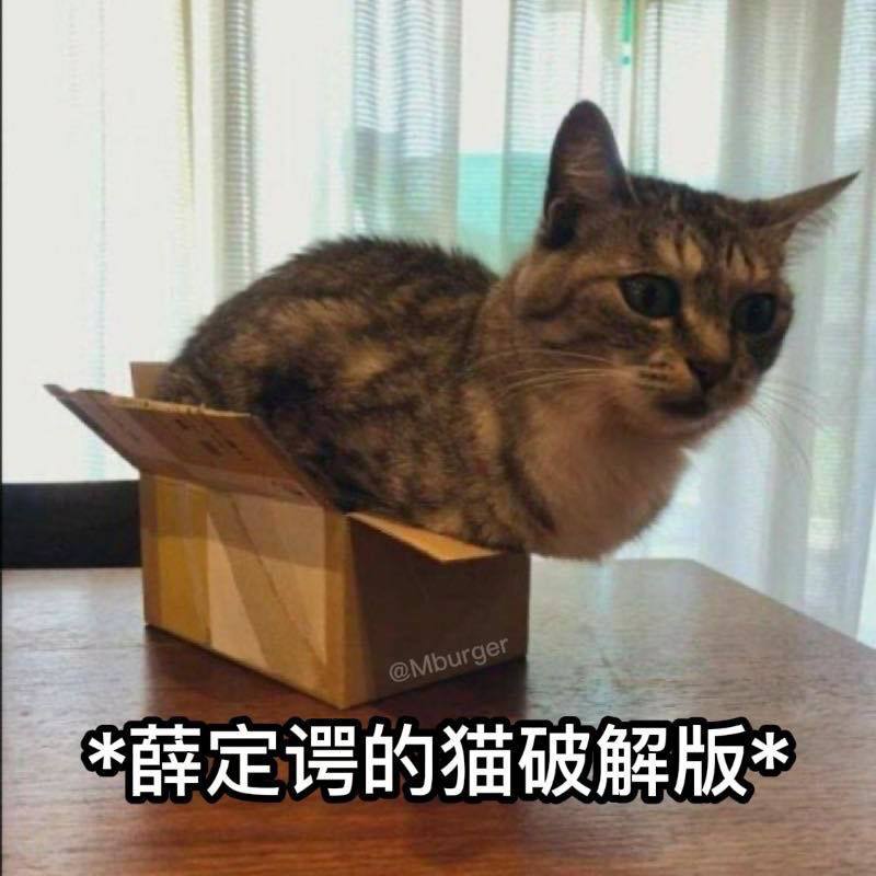 #猫猫from 平壤卫视