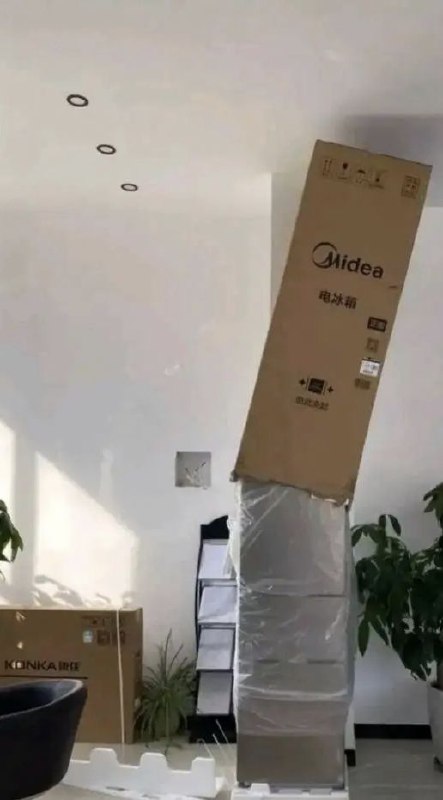 忘了量房子高度了，现在盒子取不下来怎么办，我跟装冰箱的师傅讨论了一下午都不知道怎么搞，我想问设计这么高的冰箱，谁家里用得起啊😭😭😭