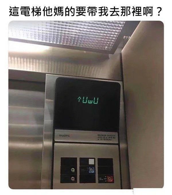from 纯路人 慈善家