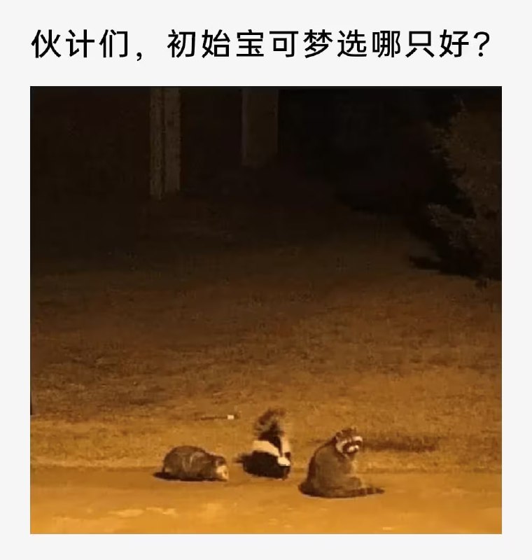 via 7号沙雕网友