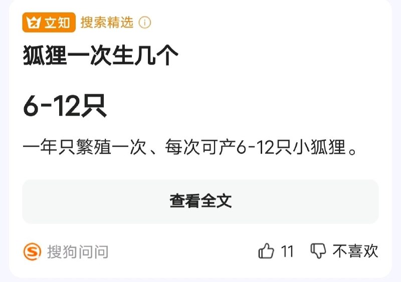 可爱暴击via LDLD 果冻可爱暴击via LDLD 果冻