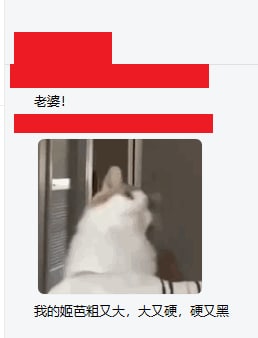 同事在公司大群里给我发了这么一条消息 然后光速撤回了......然而他不知道 welink撤回的消息也是能看到的