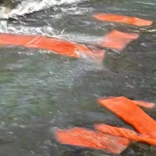 via 张某 犯罪嫌疑人via 张某 犯罪嫌疑人