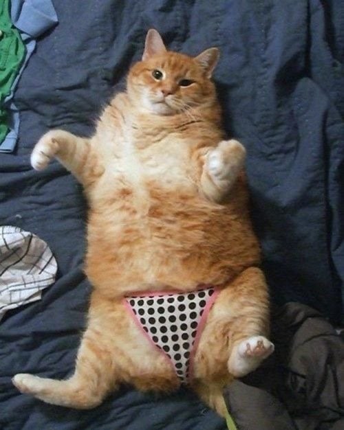 #NSFW