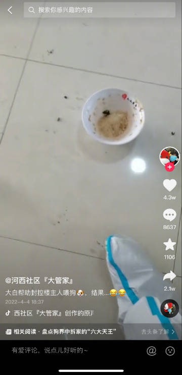 沈阳一社区，大白帮被隔离的居民上门喂狗