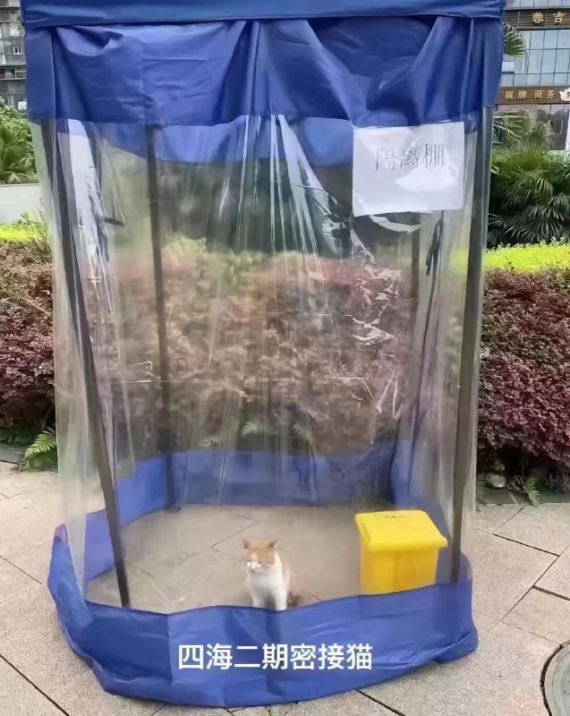 via Rum11111111a