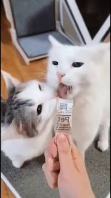 via 犯罪嫌疑人张某via 犯罪嫌疑人张某