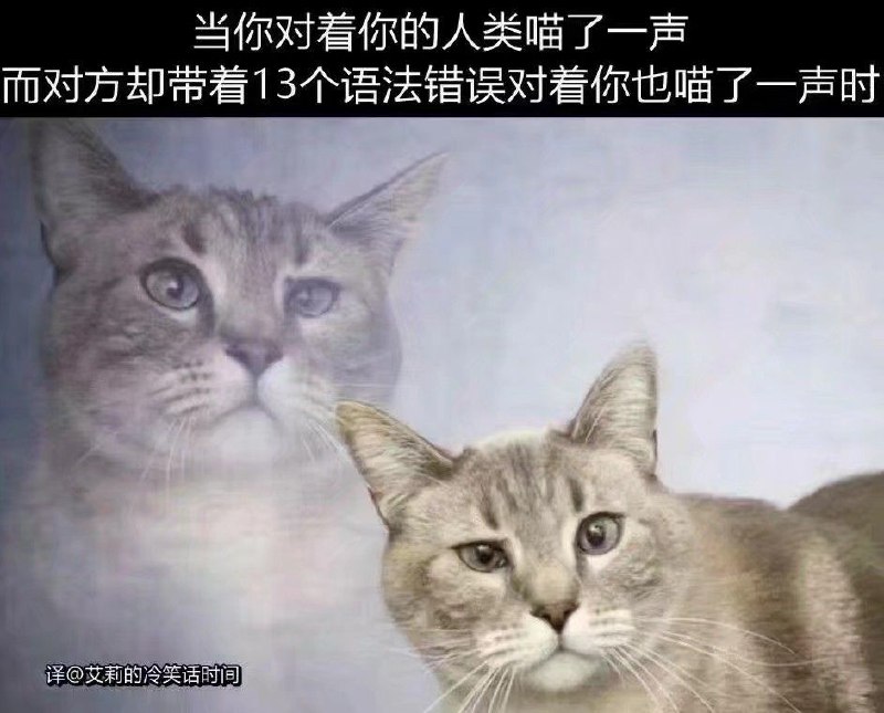 from 美图与沙雕猫：我饿了你：sd&%*&@fs#$jhk*(&^j$@h